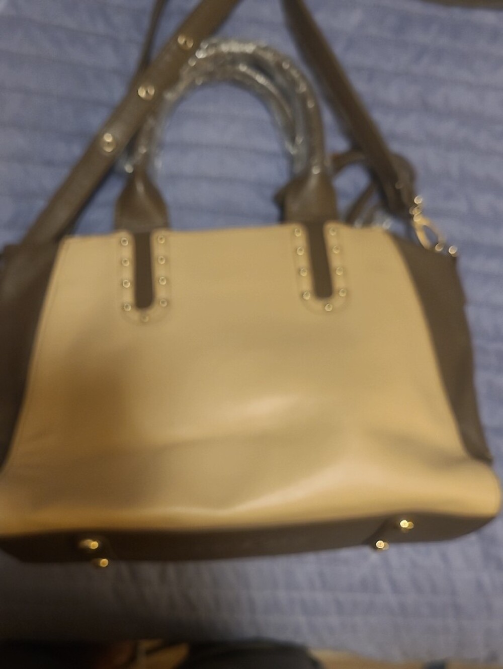 Sharif Taupe and Cream Embroidered Satchel with Gold Accents Callout In Photos - Picture 3 of 15